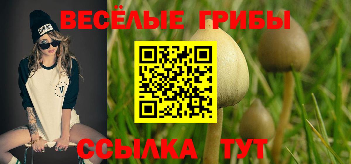 Псилоцибиновые грибы MAGIC MUSHROOMS  Псилоцибиновые грибы ЛСД  Верхний Уфалей  Вход с VPN 